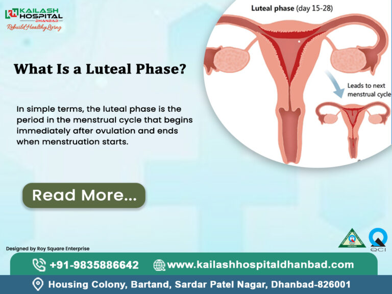 Luteal Phase